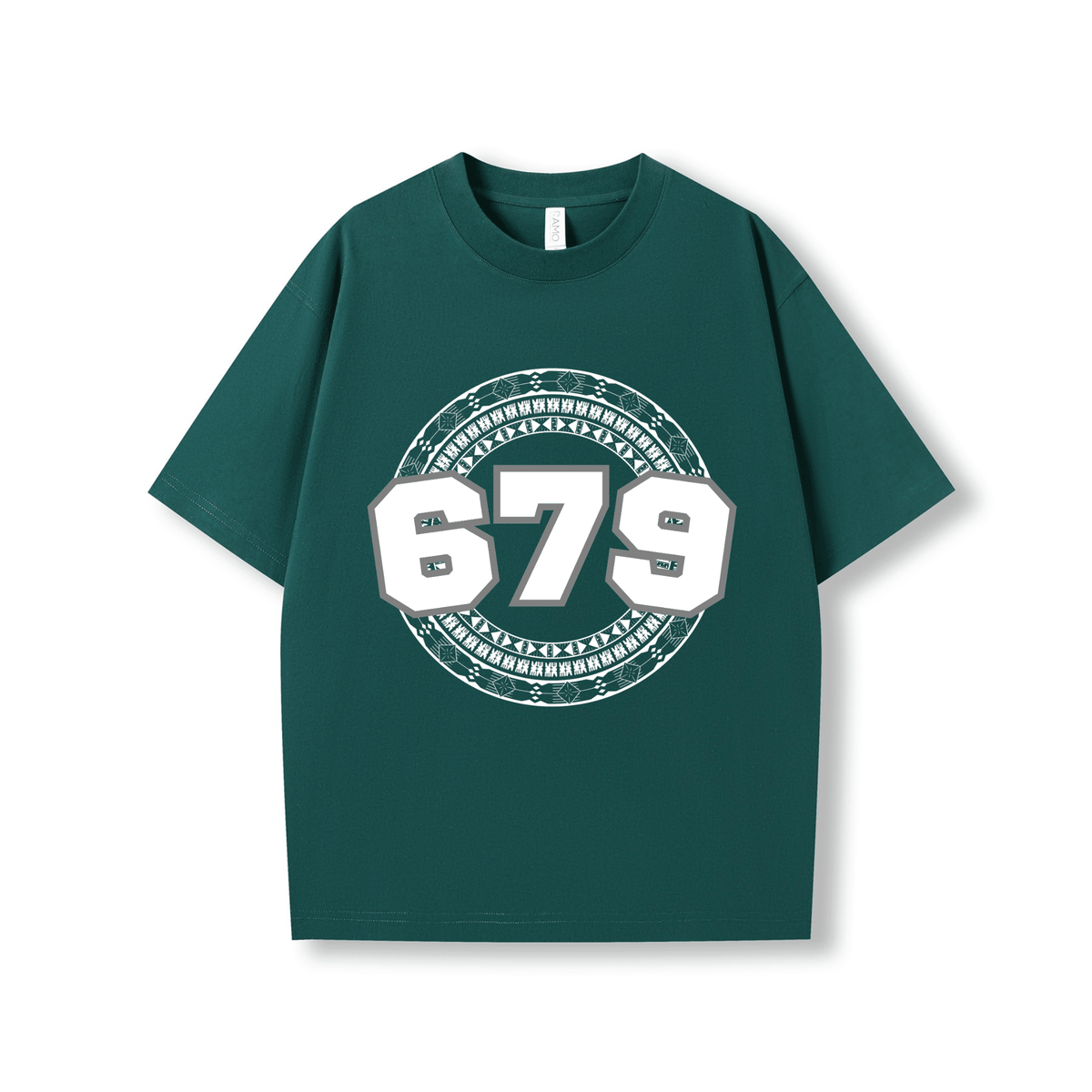 FIJI | 679 | OVERSIZE UNISEX TEE - Stick N It