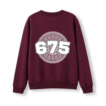 PNG | 675 | KIDS JUMPER - Stick N It