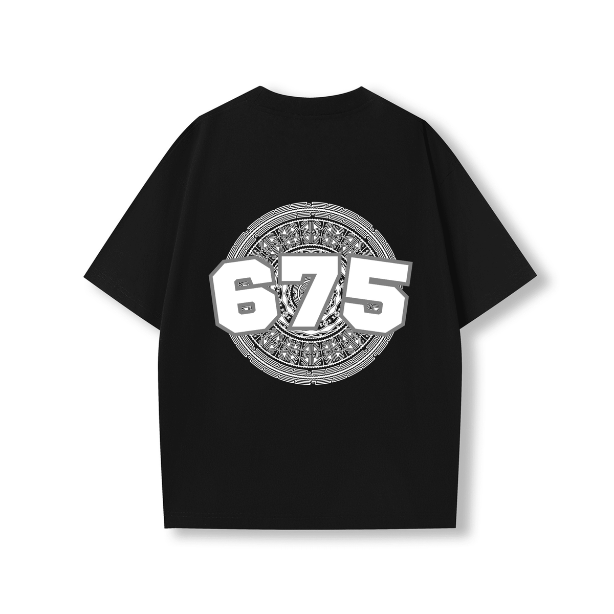 PNG | 675 | OVERSIZE UNISEX TEE - Stick N It