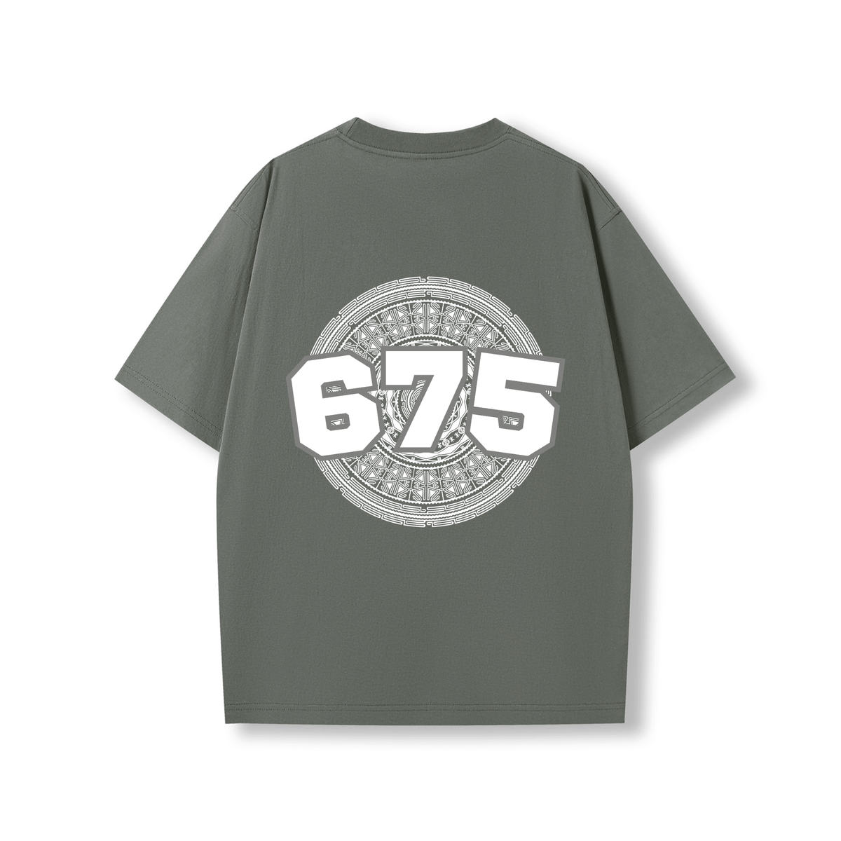 PNG | 675 | OVERSIZE UNISEX TEE - Stick N It