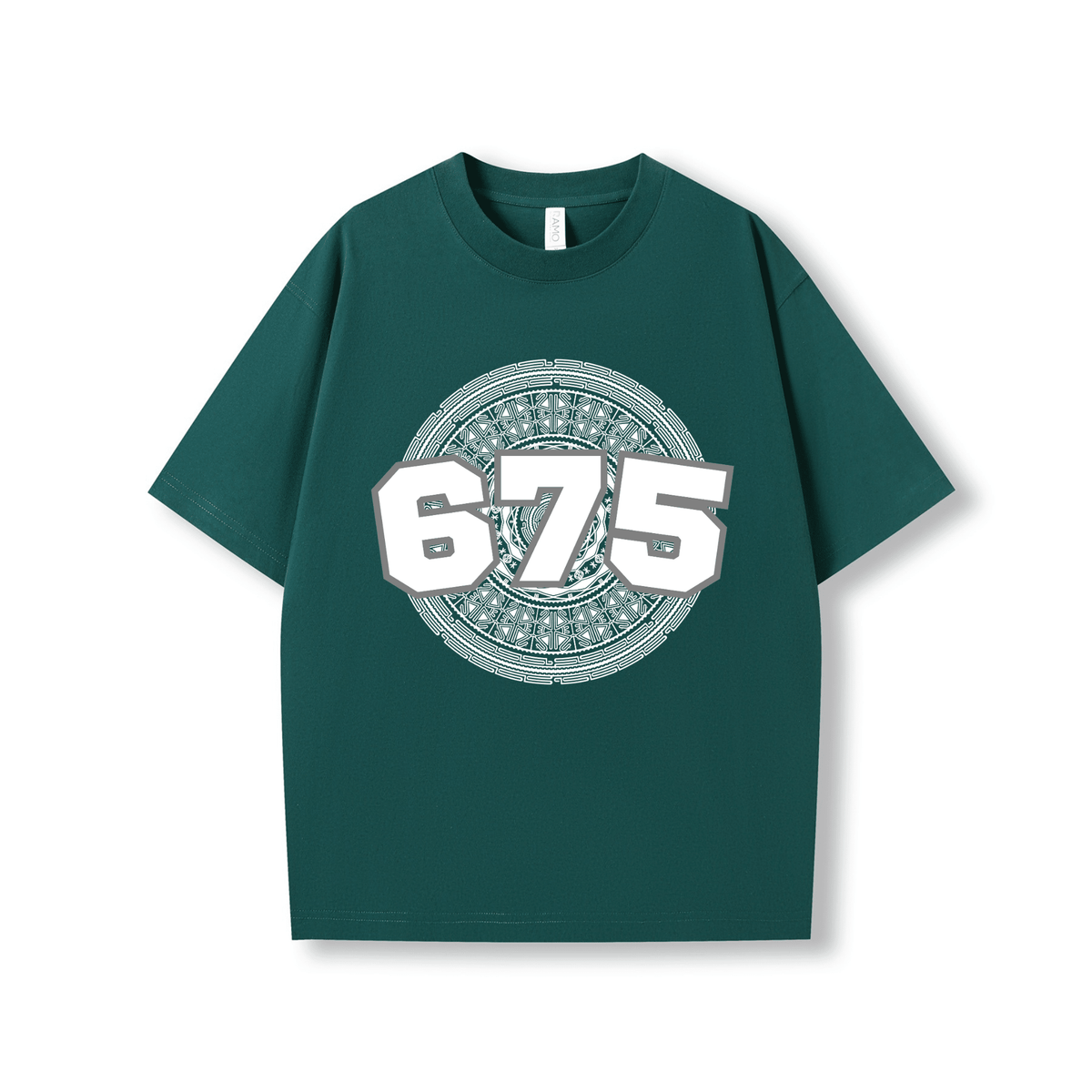 PNG | 675 | OVERSIZE UNISEX TEE - Stick N It