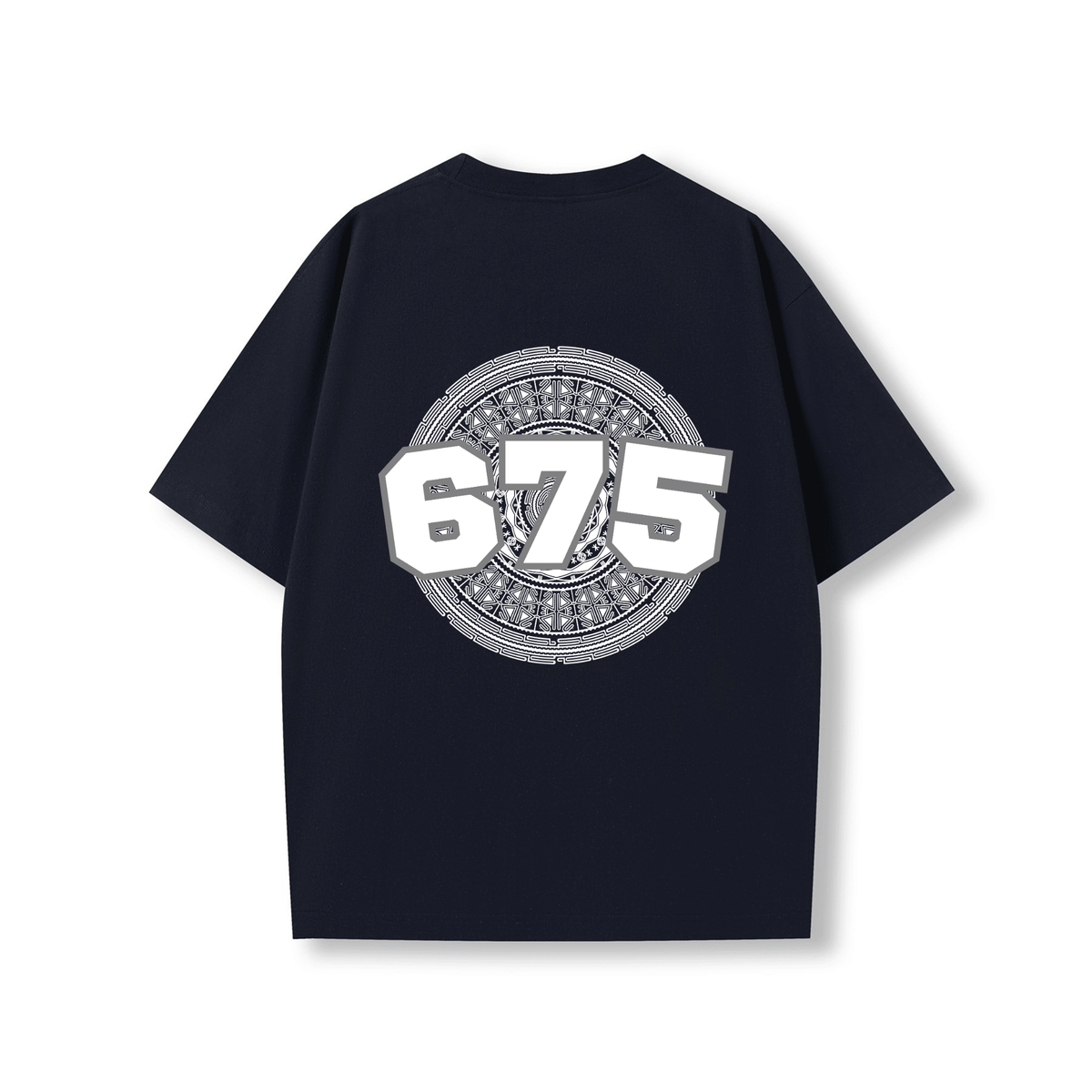 PNG | 675 | OVERSIZE UNISEX TEE - Stick N It